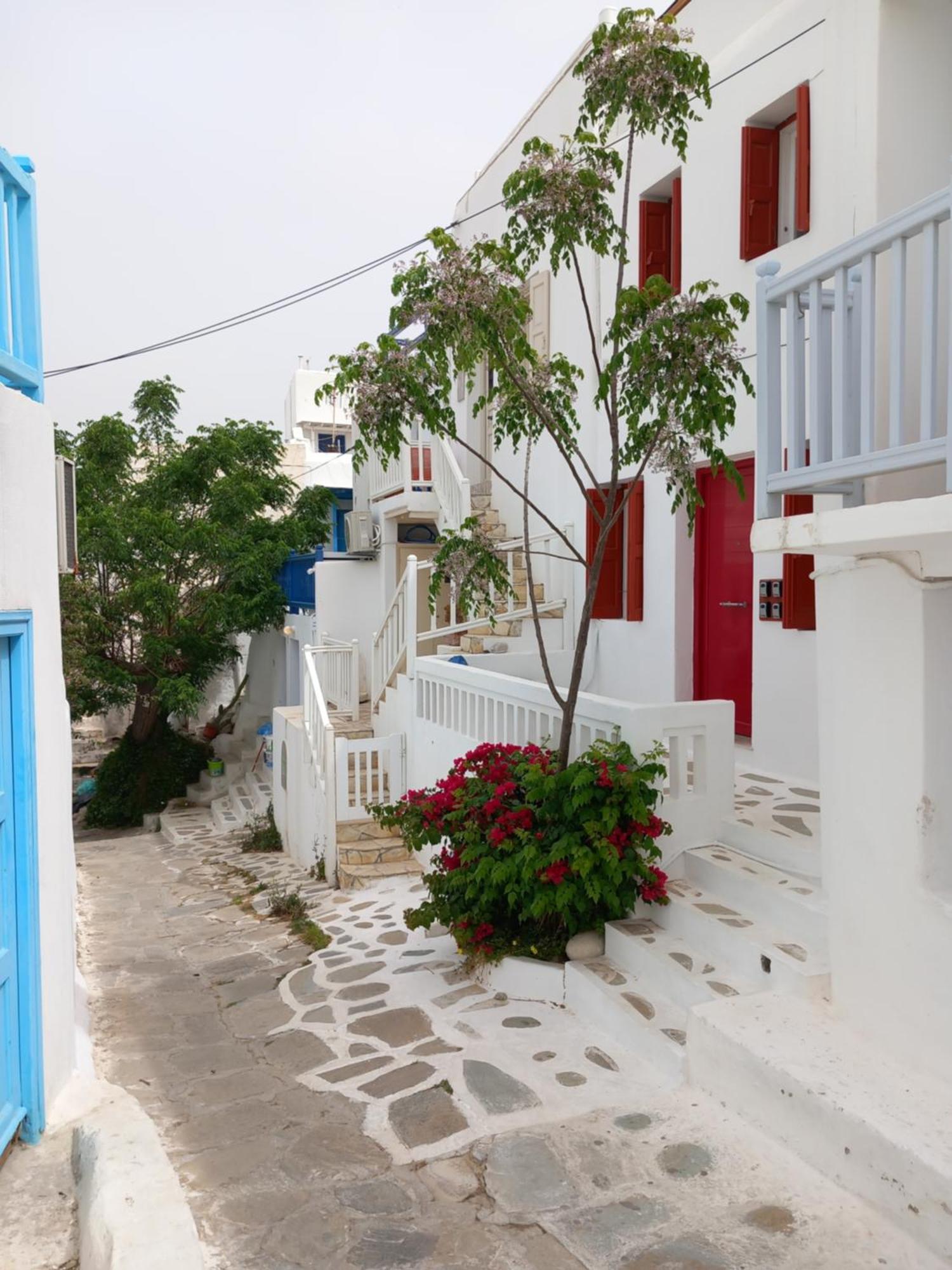 Alex Oldtown Sea View Rooms And Appartments Mykonos Town Extérieur photo