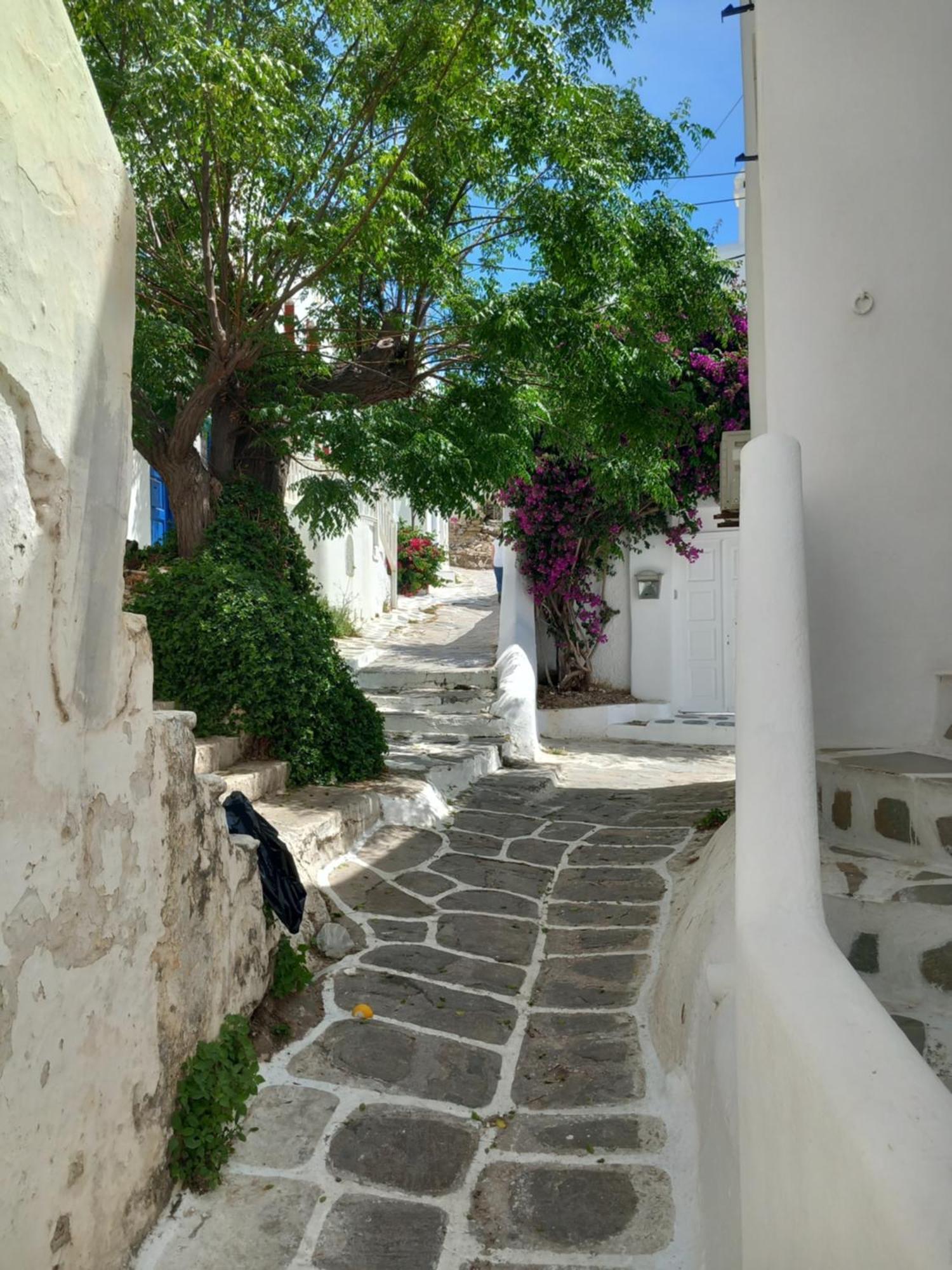 Alex Oldtown Sea View Rooms And Appartments Mykonos Town Chambre photo