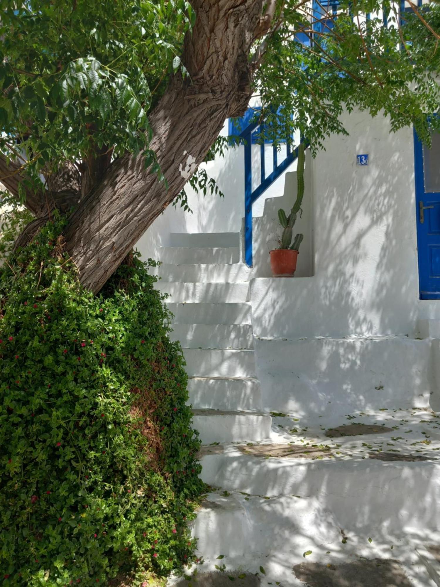 Alex Oldtown Sea View Rooms And Appartments Mykonos Town Chambre photo