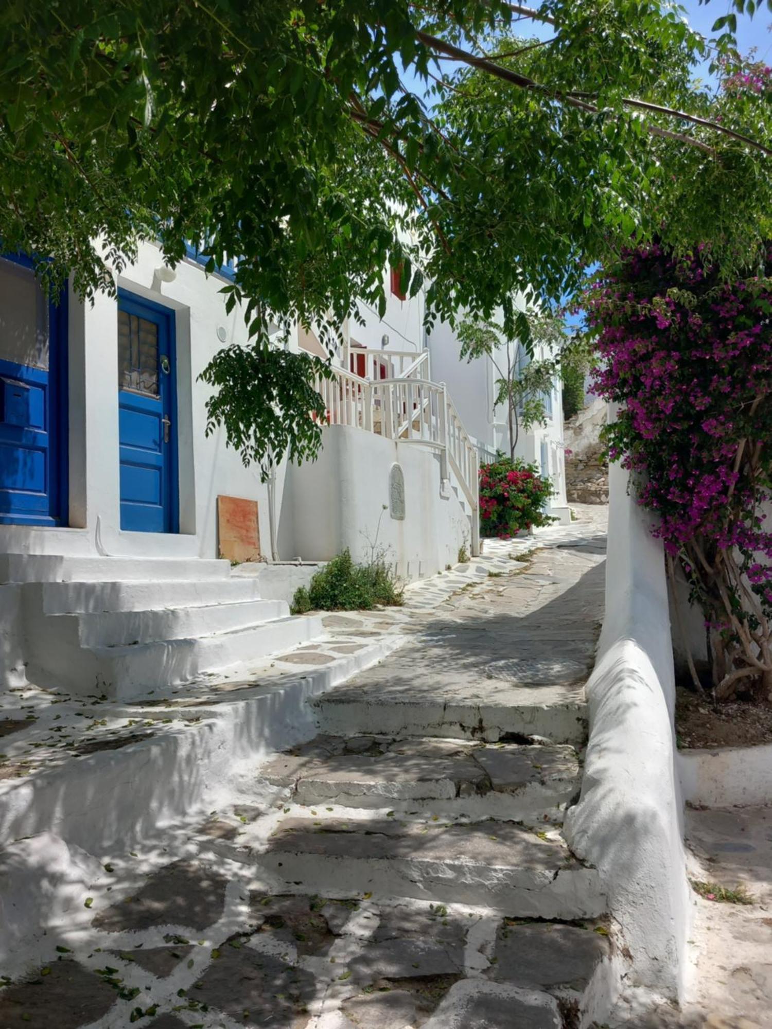 Alex Oldtown Sea View Rooms And Appartments Mykonos Town Chambre photo